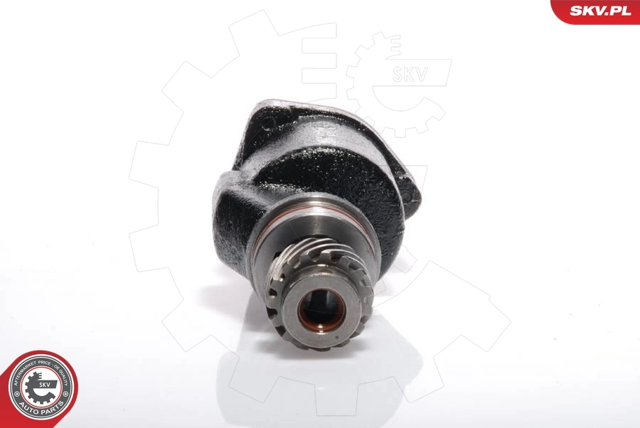 Vacuum Pump, braking system